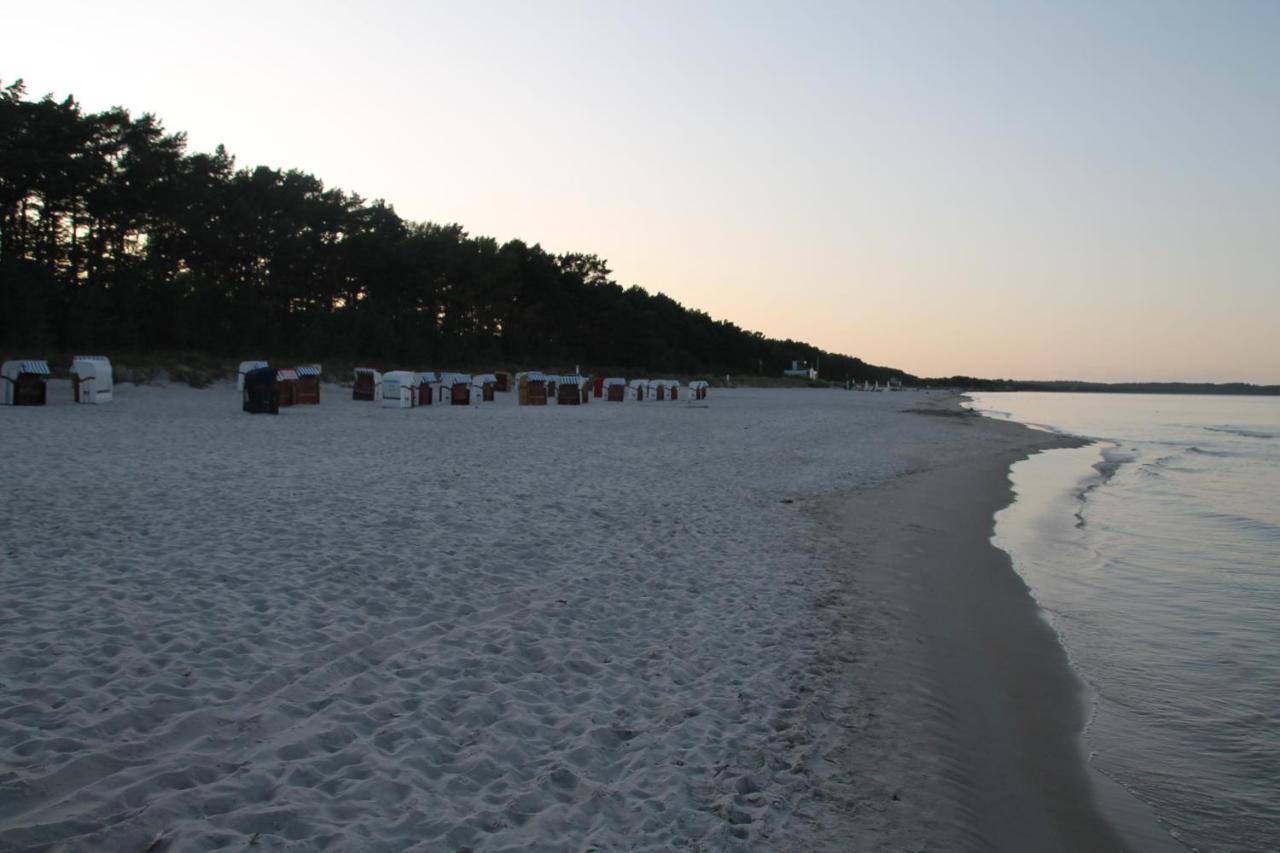 Bruchbude Mit Meerblick Binz Eksteriør billede