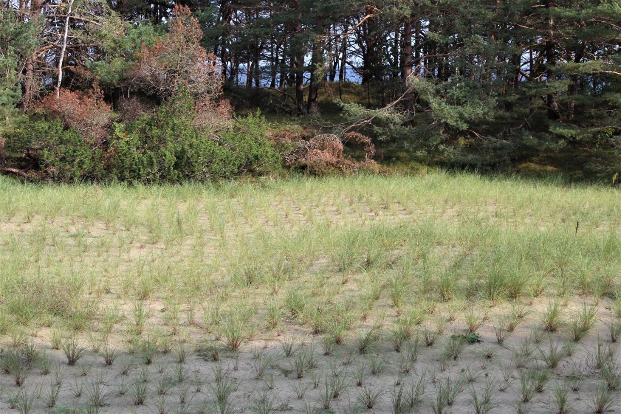 Bruchbude Mit Meerblick Binz Eksteriør billede