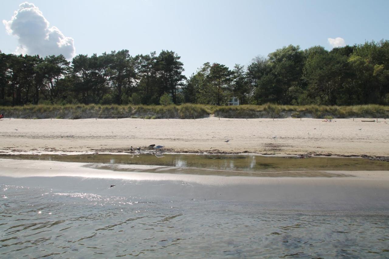 Bruchbude Mit Meerblick Binz Eksteriør billede