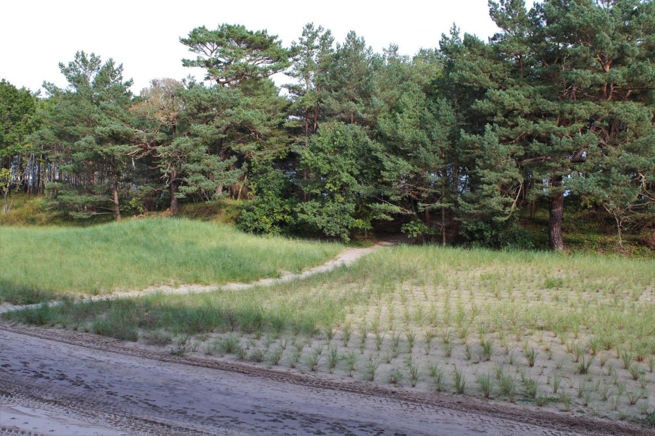 Bruchbude Mit Meerblick Binz Eksteriør billede